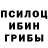 Псилоцибиновые грибы Psilocybe fitria kusumawati